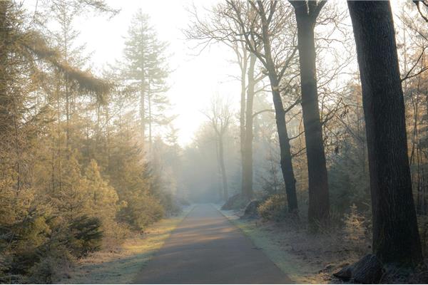 Waarom fietsen de perfecte wintertraining is